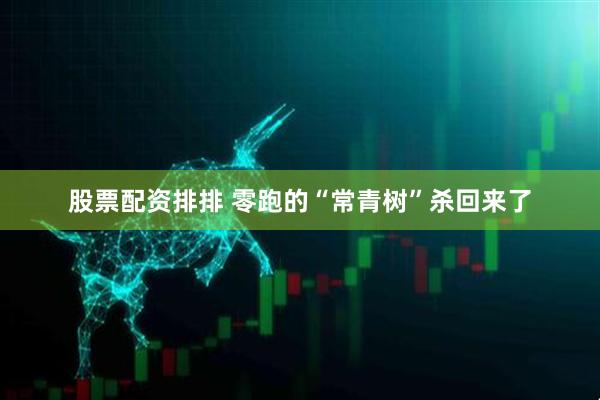 股票配资排排 零跑的“常青树”杀回来了