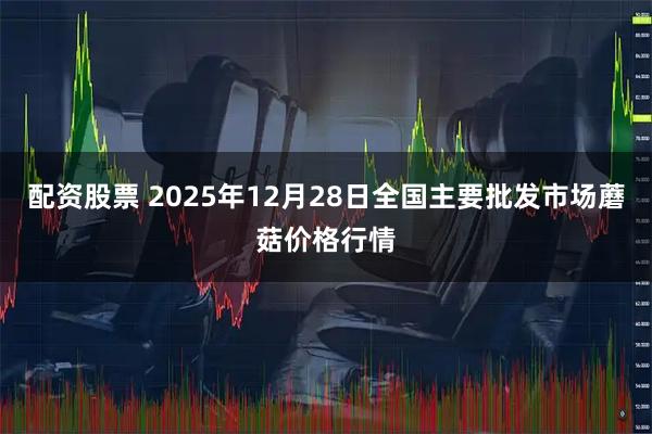 配资股票 2025年12月28日全国主要批发市场蘑菇价格行情